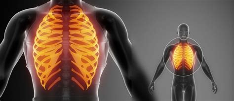 The Link between Back Pain & Rib Pain | Dr. Stefano Sinicropi