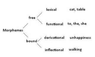 Morphology - Teaching Linguistics and English Language Learners 