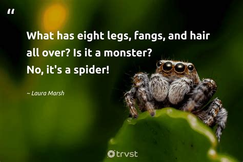 40 Spider Quotes Appreciating These 8-Legged Creatures (2024)