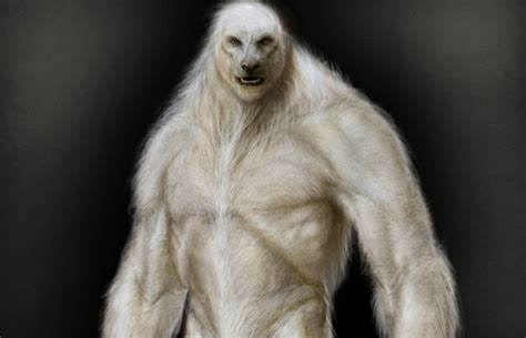 Discovery of the Yeti - Cryptid Wiki