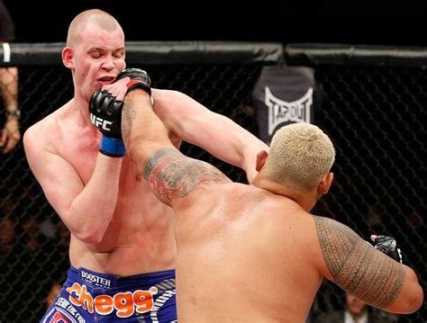 Page 3 Five Best One Punch Walk Off Knockout Of Mark Hunt