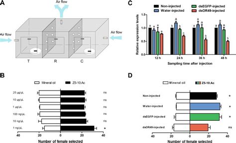 A Female Biased Odorant Receptor Tuned To The Lepidopteran Sex Pheromone In Parasitoid