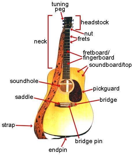 Dansm's Acoustic Guitar Basics: Amplification of Acoustic Guitars