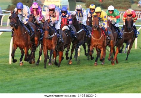 Market Rasen Racecourse Lincolnshire Uk 17 Stock Photo 1495103342 ...