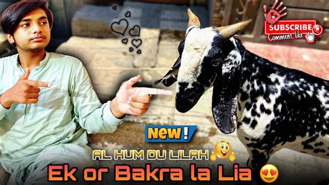 Finally Ek Or Qurbani Ka Bakra Lay Ayy Al Hum Du Lilah Mandi Vlog