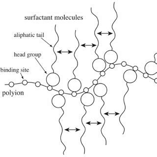 Schematic Representation Of The Surfactant Binding To The Sites On The