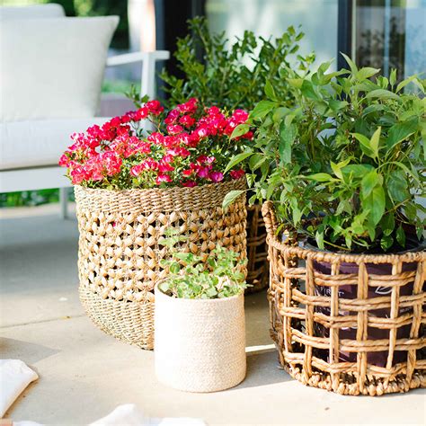 Bayou Breeze Lucia baskets-Set/3 - Wayfair Canada