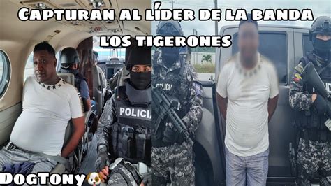 Asi Capturaron A Alias Negro Willy Cabecilla De Los Tigerones En