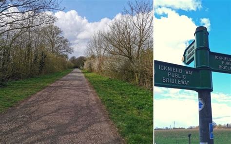 Exploring The Stunning NT Dunstable Downs In Bedfordshire