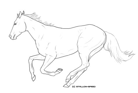 Thoroughbred Horse Coloring Pages Coloring Pages