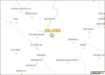 Salinas (Mexico) map - nona.net