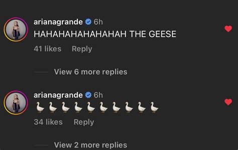 Momo On Twitter Rt Arianatorswildt Oh Shes Adding Geese To Her