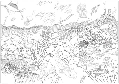 Introduzir Imagem Desenhos Para Colorir De Animais Do Fundo Do Mar