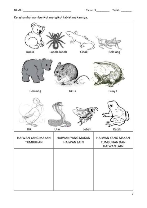 Latihan Sains Tahun 1 Lembaran Kerja Sains Tahun 1 Penyera Nbkomputer