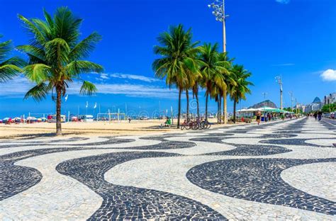 View Copacabana Beach Palms Mosaic Sidewalk Rio De Janeiro Stock Photos