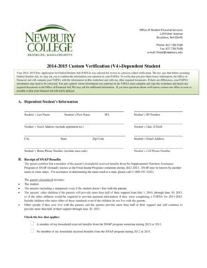 Fillable Online Custom Verification V Dependent