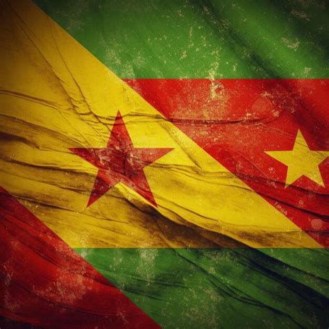 Premium AI Image | Flag of Benin Dahomey high quality 4k