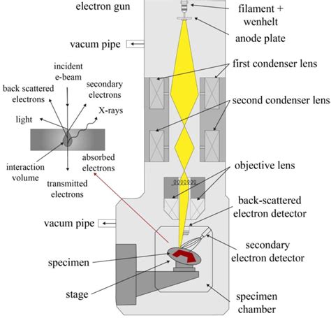 9: Schematic drawing of a typical scanning electron microscope ...