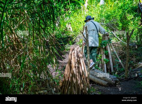 Single person crossing small log bridge on on walking track across