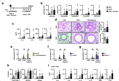 β-Glucans promote Th2 allergic airway inflammation to HDM allergen both ... 