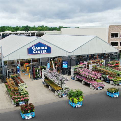 ALDI Garden Line 2021 Fab Finds - Bunny's Garden