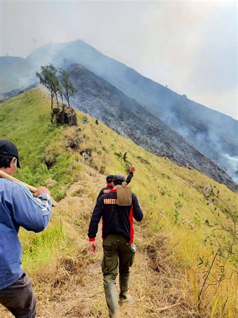 Tutup Sejak Agustus 2023 Pendakian Gunung Arjuno Kembali Dibuka 15