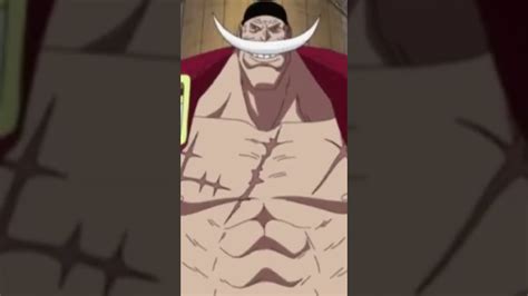 Yamato Whitebeard Can We Get Much Higher YouTube