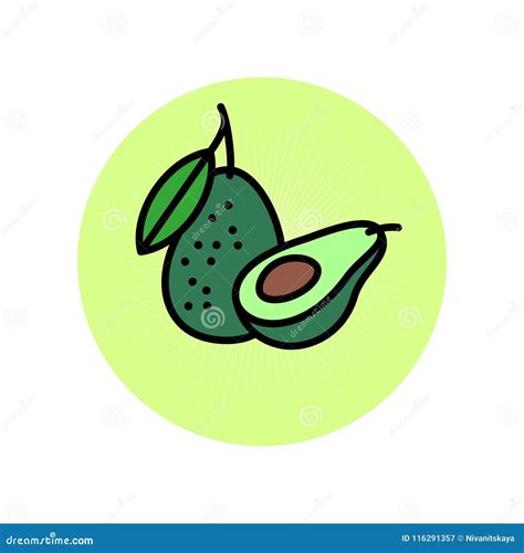 Half Avocado Icon Royalty Free Cartoon 74079374