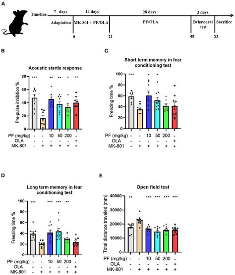 Frontiers | Paeoniflorin Rescued MK-801-Induced Schizophrenia–Like ...