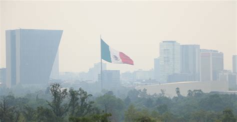 ¿qué Efectos Tiene La Mala Calidad Del Aire En Tu Salud