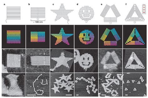 DNA Kullanarak Origami Yapımı DNA Origami TÜBİTAK Bilim Genç