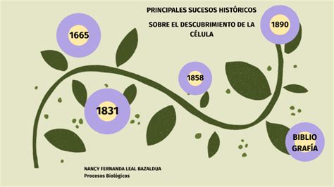 Linea Del Tiemposobre Los Principales Sucesos Hist Ricos Sobre El