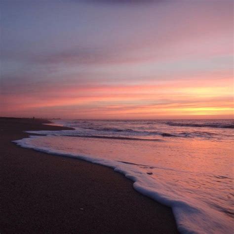 Edisto beach camping – Artofit