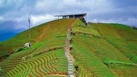 Objek Wisata Terasering Panyaweuyan Majalengka Bakal Makin Cantik