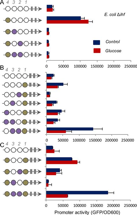 Systematic Investigation Of Complex Promoters For Crp And Ihf In The E