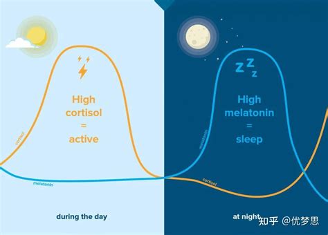 你还在吃褪黑素吗？可能越吃越失眠 知乎