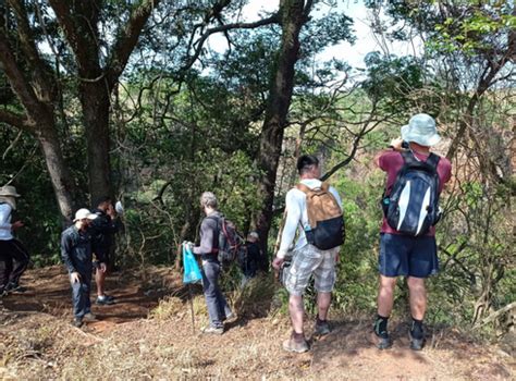 Roteiro Trilha Do Lisinho Nas Nuvens Turismo Eco