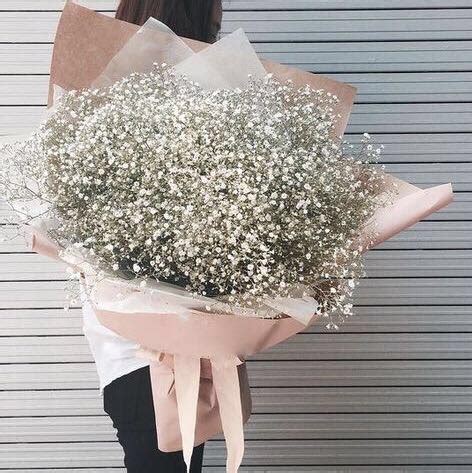 Baby's breath bouquet | Jasmine Flowers & Gifts Amman Jordan