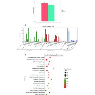 Functional Annotation Analysis Of Target DEGs Of DEMs And Network For