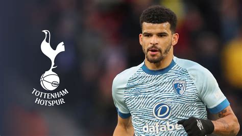 Tottenham 'finalising deal' for Dominic Solanke as Bournemouth agree to ...