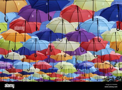 Timisoara Umbrellas Decoration Hi Res Stock Photography And Images Alamy