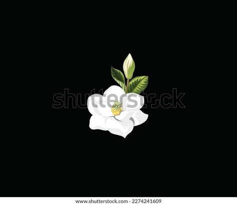 White Flower Vector Icon Logo Design Stock Vector (Royalty Free) 2274241609 | Shutterstock