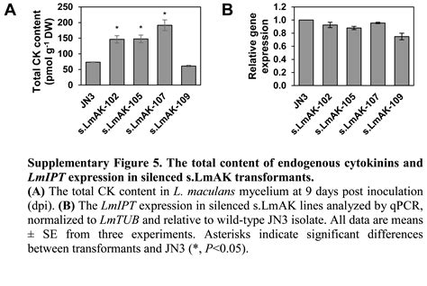 Cytokinin Metabolism Of Pathogenic Fungus Leptosphaeria Maculans