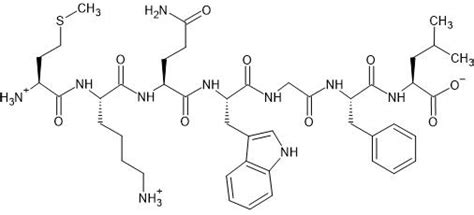 Solved Trypsin is an enzyme that hydrolyzes(breaks) the | Chegg.com