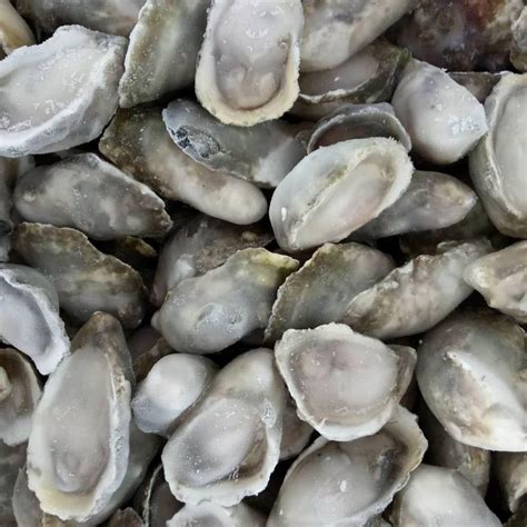 Hot Sale Frozen Half Shell Pacific Oyster Agro Pastoral Products Ltd