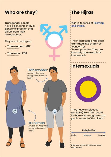 infographics  transgender community behance