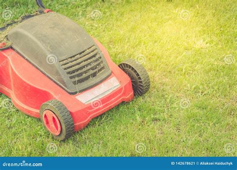 Cortador De Grama Que Corta A Grama Verde Que Sega O Gramado Na Jarda