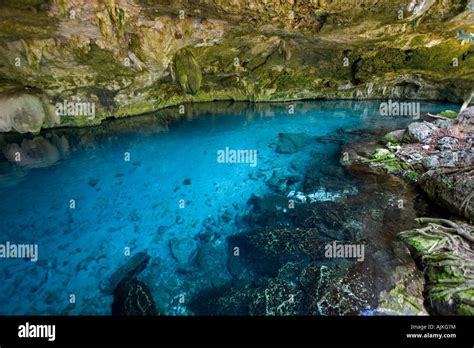 Cenote dos ojos hi-res stock photography and images - Alamy