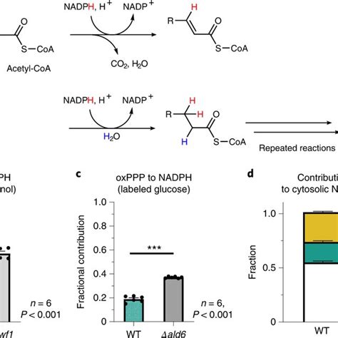 Instead Of Oxppp Ethanol Oxidation Provides Major Fraction Of Active