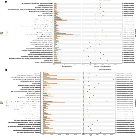 The Functional Prediction Of Intestinal Flora The Functional Download Scientific Diagram